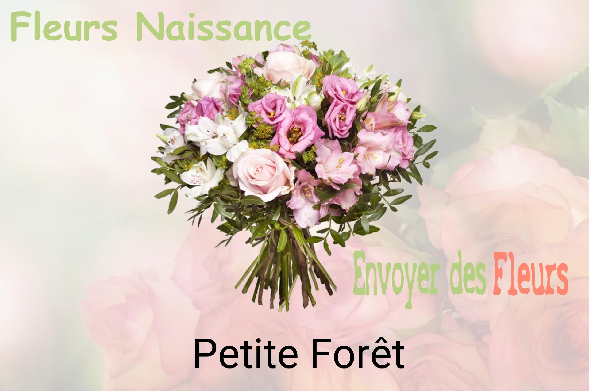 Bouquet de fleurs de naissance livré à Petite-Forêt